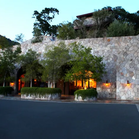 Palmaz vineyards.webp