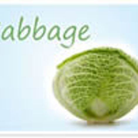 cabbage