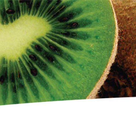 banner2.jpg