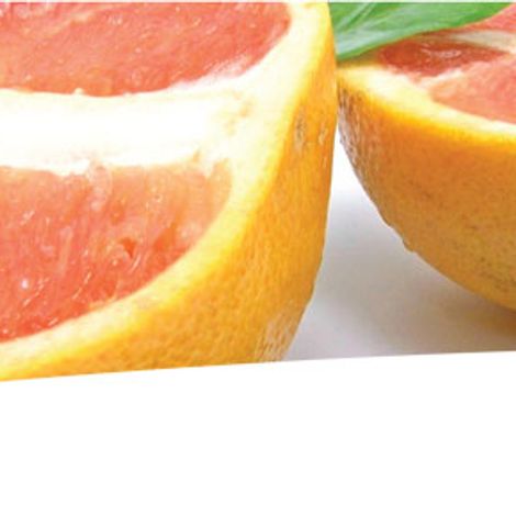 banner1.jpg