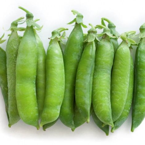 Verdufrut Guatemala