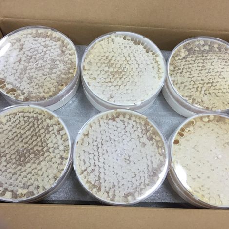Wolfe's Natural Bee Products Inc.