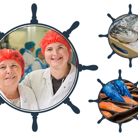 FISH_processing.png