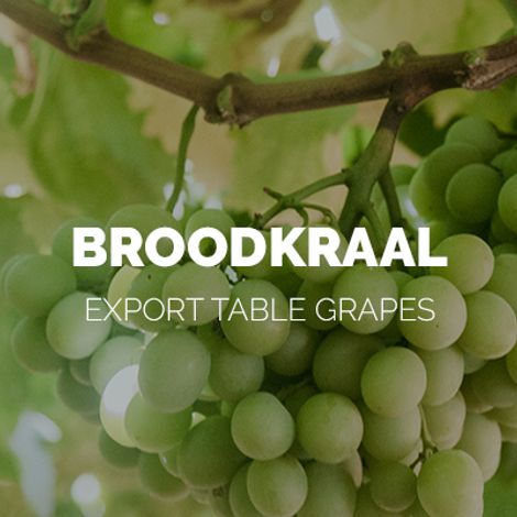 Broodkraal-link-01.jpg