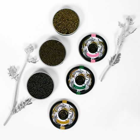Gourmet House Caviar