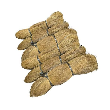 Coconut Bristle