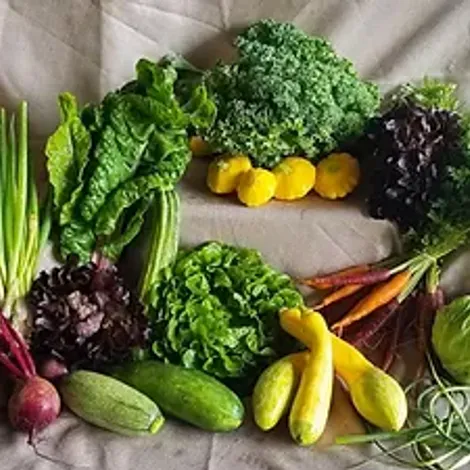 Bio Way Farm LLC
