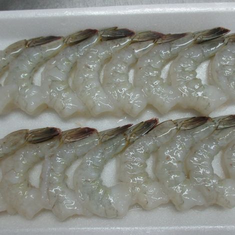 Farmed_Vannamei Shrimp_PDTO_31-40_Thaw