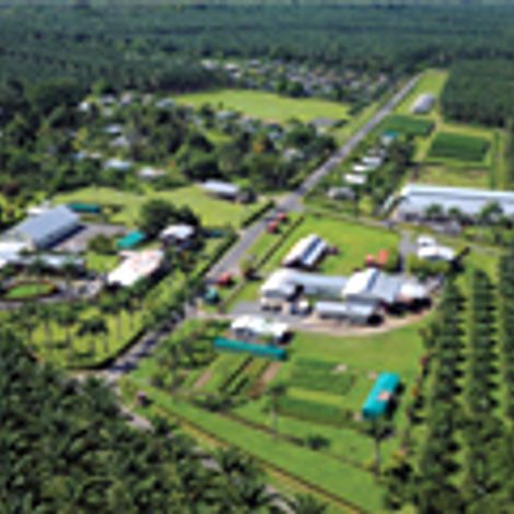 overview.jpg