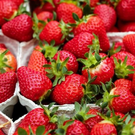 A&A Organic Farms
