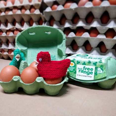 Nest Box Egg Company - Golden Irish
