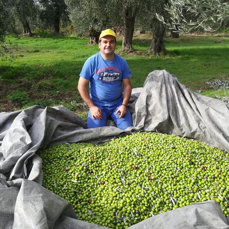 Harvest