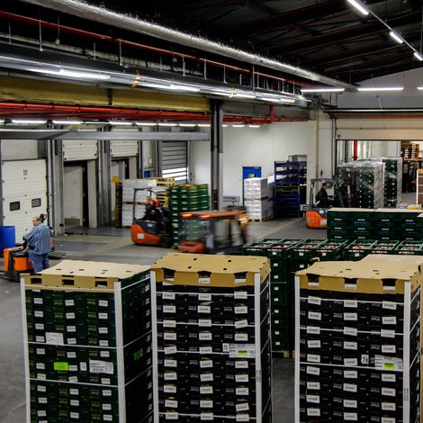 FRUIT SERVICE Fruchthandels- und Transport GmbH