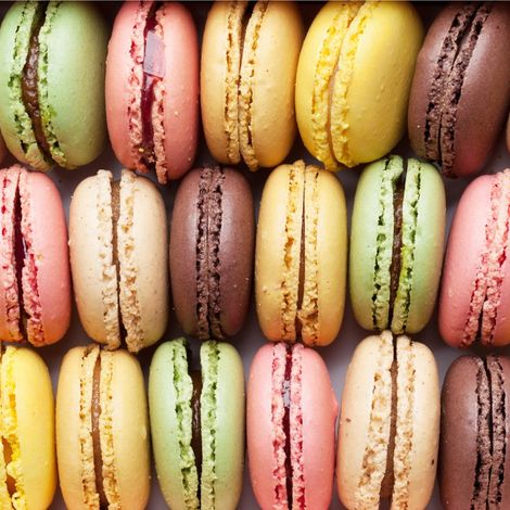 Somerset Chocolate Co Limited