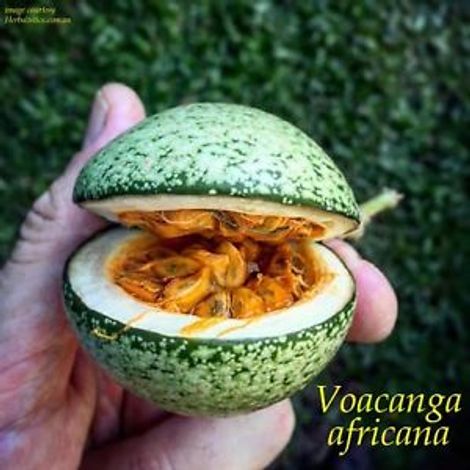 SPECIAL INGREDIENTS For the Cosmetic, Nutraceutical, Pharmaceutical Industry