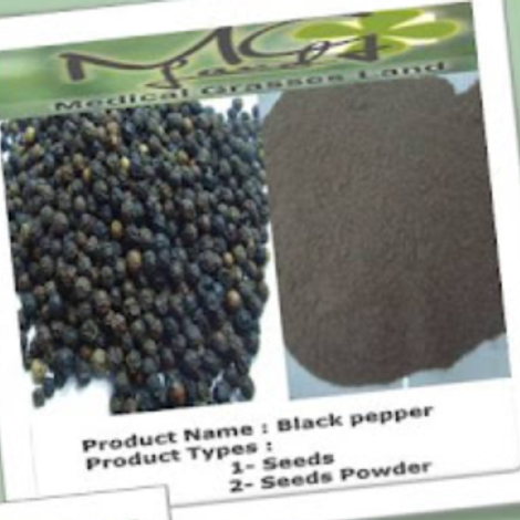 MEDICAL GRASSES LAND CO.