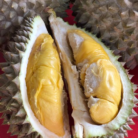 Benum Hill Fruits Sdn Bhd