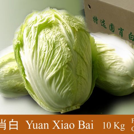 Shenzhen maoxiong industrial co. ltd.