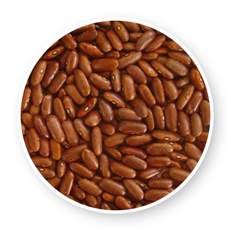 Abaymado Export