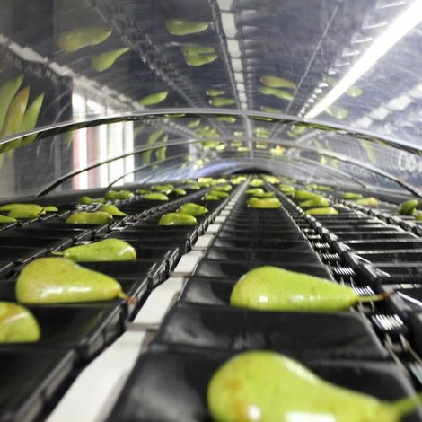Blijderveen Fruit - Facility