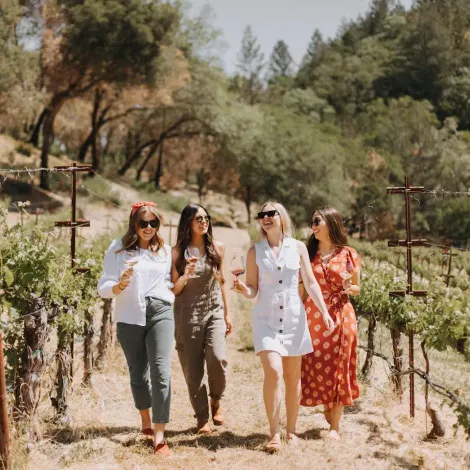 Vineyards