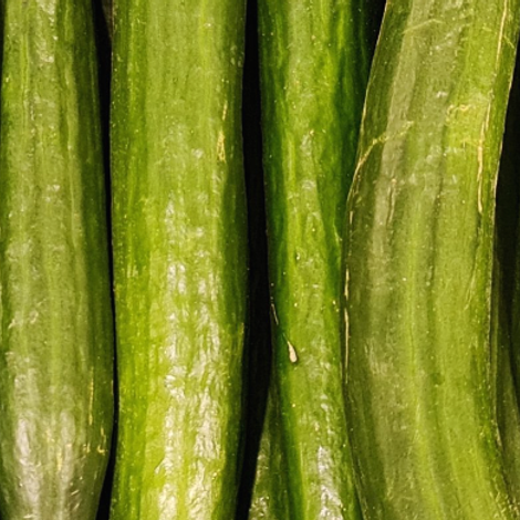 GEKO Fruchthandels GmbH