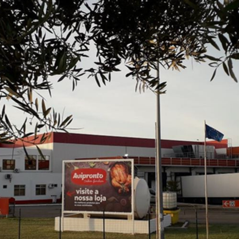 Avipronto - Produtos Alimentares, S.A - Company Building