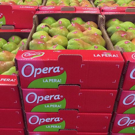 OPERA-il-consorzio-02-1.jpg