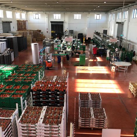 Warehouse