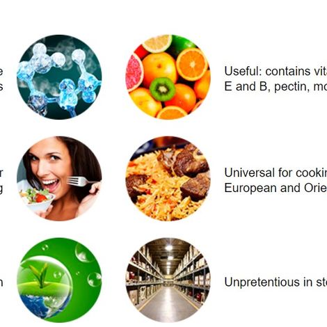 Product Description