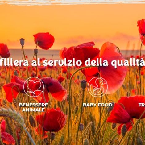 The chain, serving italian quality: