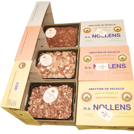 Nollens