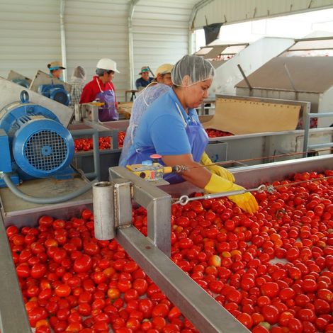 Los Gatos Tomato Products, LLC