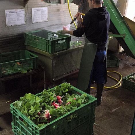 Production