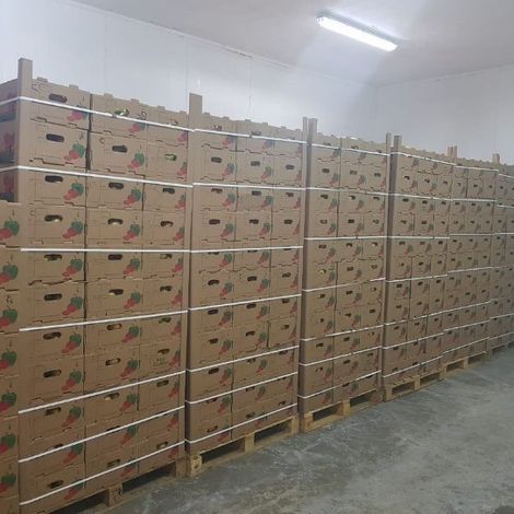 Amr Agro Srl - Storage
