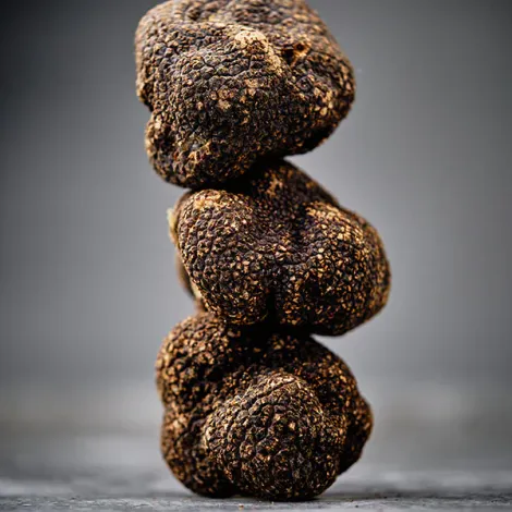 Sabatino North America, LLC