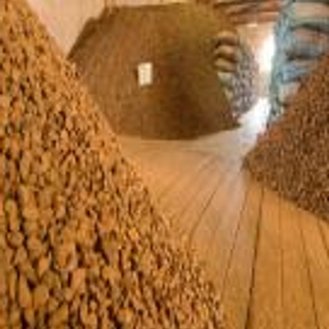 AMAZON NUTS S.A.C.