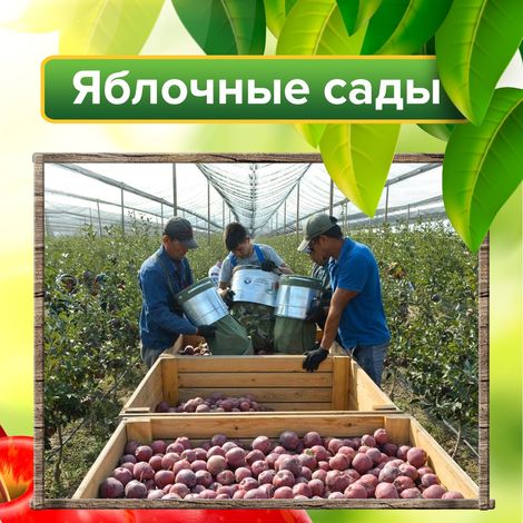 Production