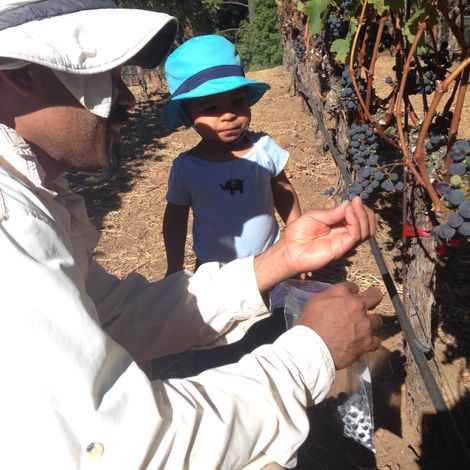 Angwin Estate Vineyards