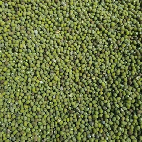 GREEN MUNG BEANS
