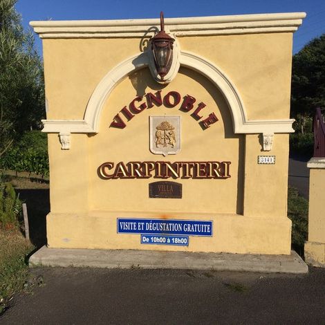 VIGNOBLE CARPINTERI