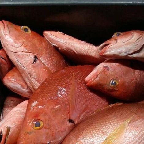 Screenshot 2023-03-15 123939.jpg