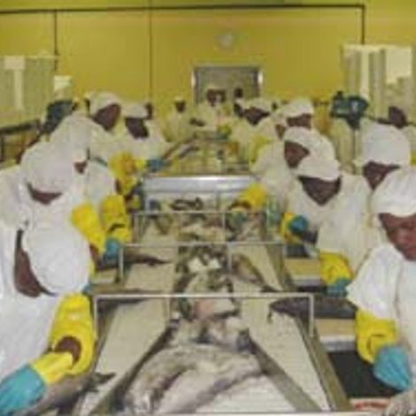 Y & L Fishing Enterprises (Pty) Ltd- Processing Area