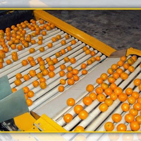 Supreme Kinno Factory - Production