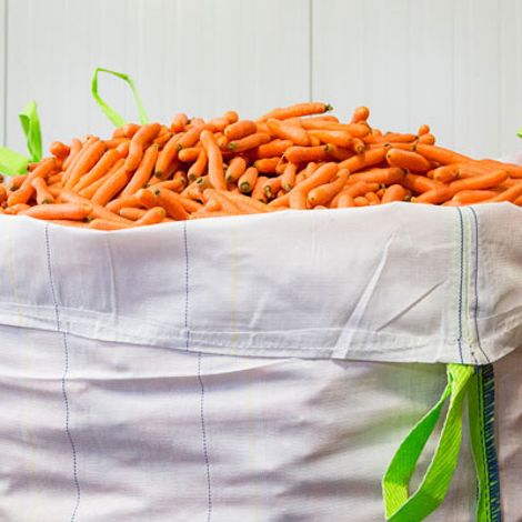 De Boer Westwoud - Carrots
