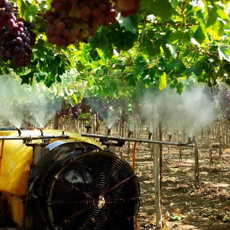 J & L Agroexportaciones S.A.C.