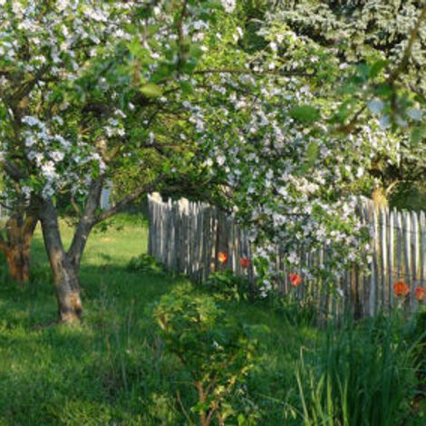 Kepos - The organic farm in Altglobsow