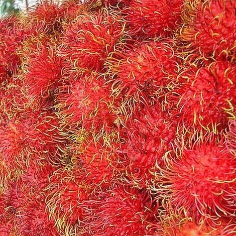 Whole Rambutan
