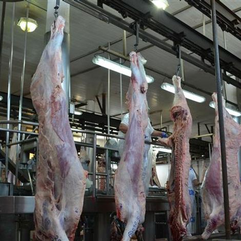 Costa-Rican-Beef-exporter-1.jpg