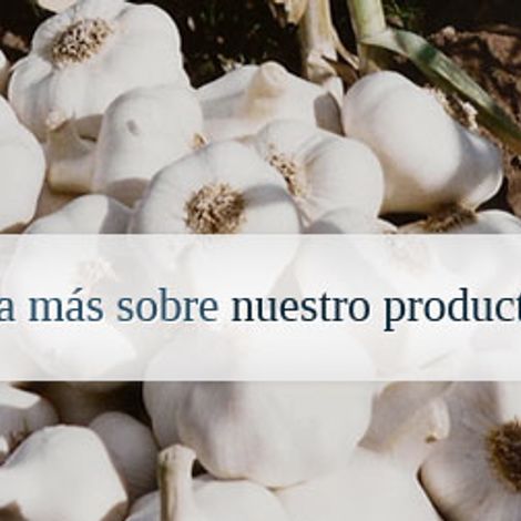 Ajos Del Valle S.R.L.